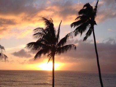 Lahaina Maui Vacation Rental Condo on Pacific Two Bedrooms